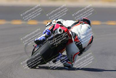 media/Oct-08-2022-SoCal Trackdays (Sat) [[1fc3beec89]]/Turn 11 Backside (1145am)/